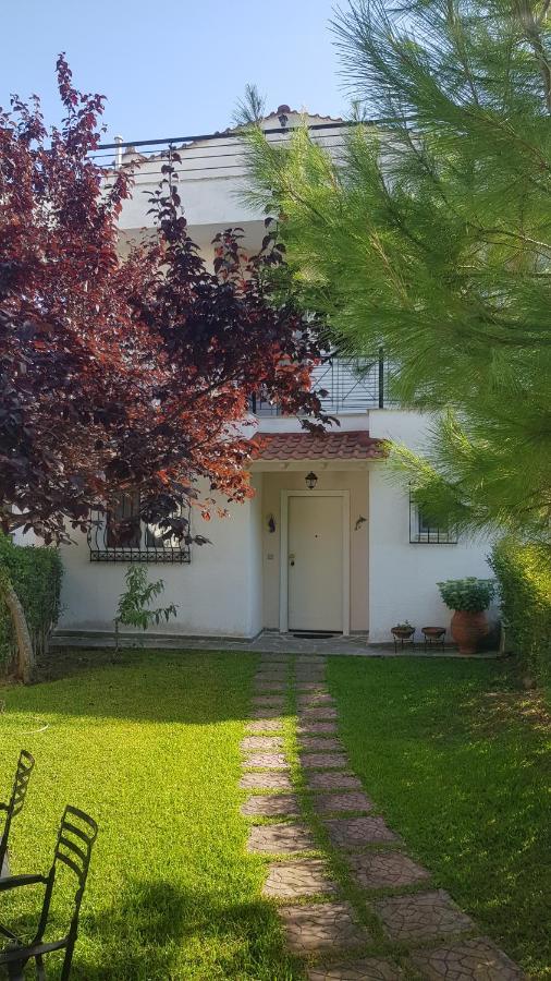 Villa Georgia Poseidi Каландра Экстерьер фото